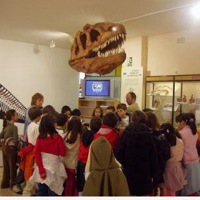 Museo Salas